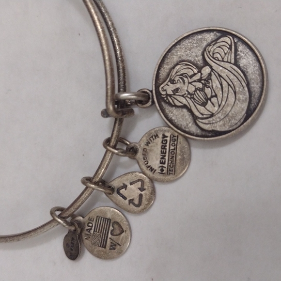 Alex and Ani Jewelry - HOLD Alex and Ani Rapunzel Disney Parks Silver Charm Bracelet adjustable Bangle
